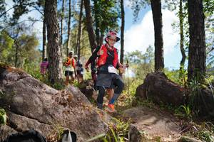 BIB: 
                            <button type="button" onclick="openModal(18952349)" class="btn btn-primary btn-sm float-right btn-popup" data-toggle="modal" data-target=".modal-high-quality">
                        <i class="fas fa-shopping-cart"></i> Add to Cart
                    </button>
                                            <button type="button" onclick="isThisMe(18952349, true)" class="btn btn-success btn-sm float-right btn-popup btn-isme hidden" data-toggle="tooltip" data-placement="bottom" title="นี่คือรูปของคุณใช่ไหม คลิกที่นี่เพื่อเอาเข้าอัลบั้ม">
                        <i class="fas fa-plus"></i> Add to album
                    </button>
                    <button type="button" onclick="isThisMe(18952349, false)" class="btn btn-warning btn-sm float-right btn-popup btn-isnotme hidden">
                        <i class="fas fa-ban"></i> Remove from album
                    </button>